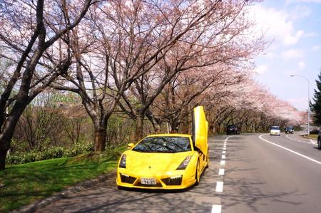 2012-5-8-桜戸田 051.jpg